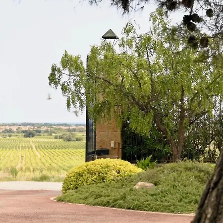 Chateau Au Milieu Du Vignoble Avec Piscine A 10 Mn Des Plages Feriehus Cabestany